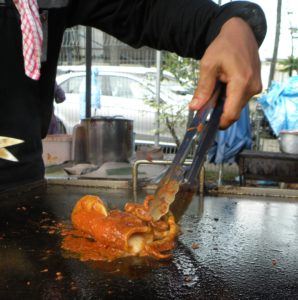 Sotong. Photo by Ashley Lipasek.
