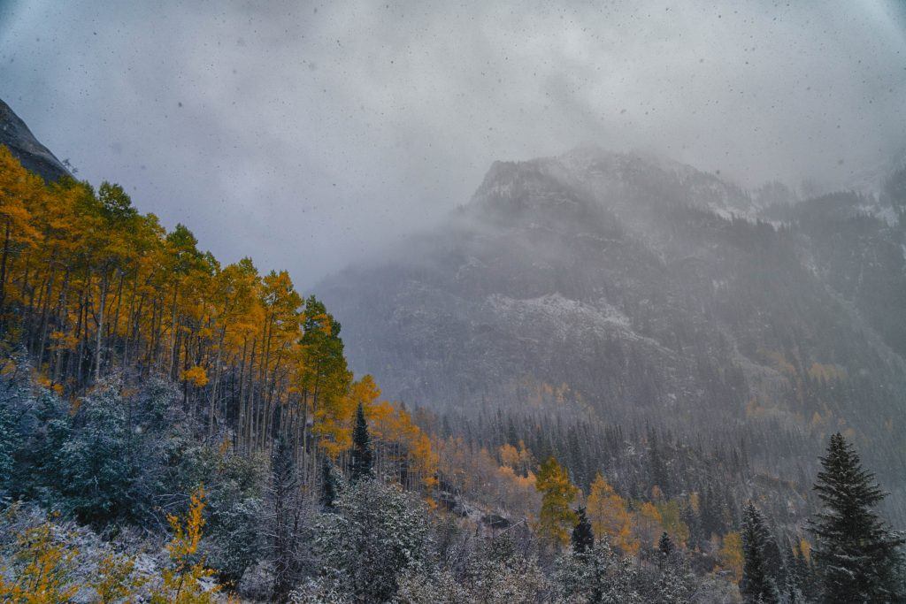 Piney Lake, Colorado. Photo by Lionello DelPiccolo on Unsplash.