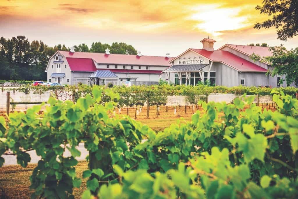 Harvest Ridge Winery