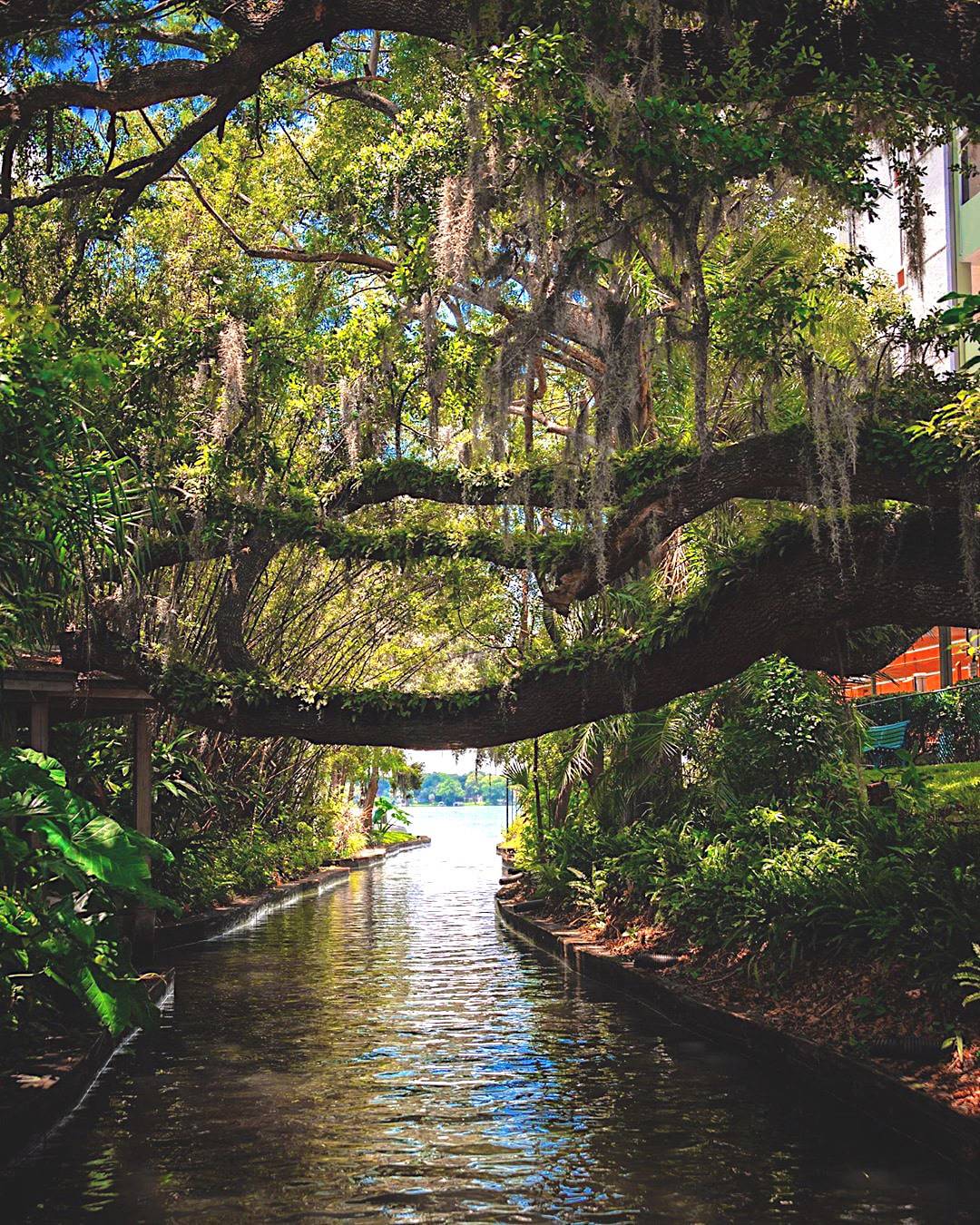 Winter Park Central Florida’s Hidden Gem Places.Travel