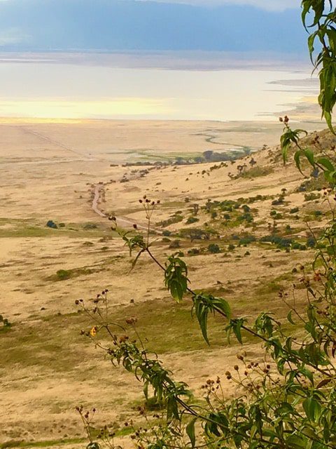 Ngorongoro Crater.