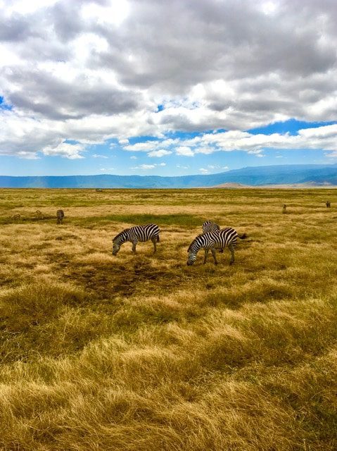 Ngorongoro Crater.