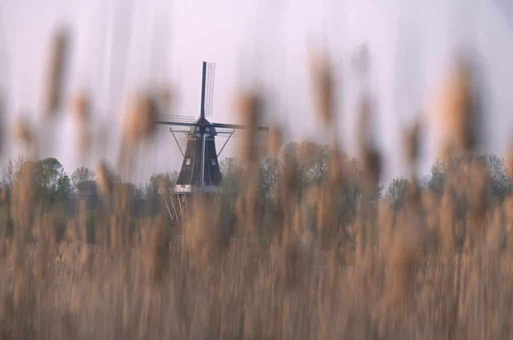 A Dutch windmill in Holland, Michigan.