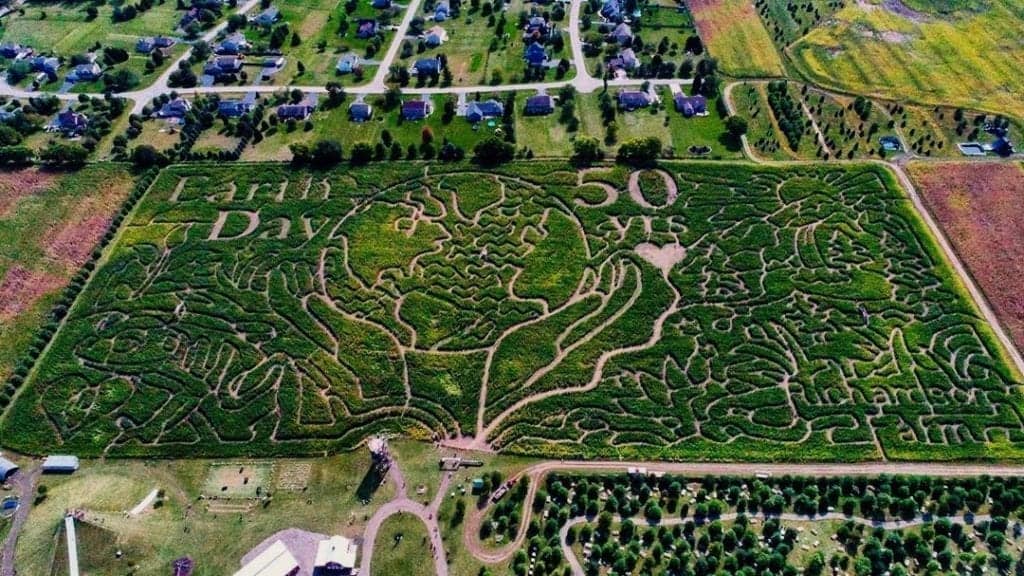 Richardson Corn Maze. 