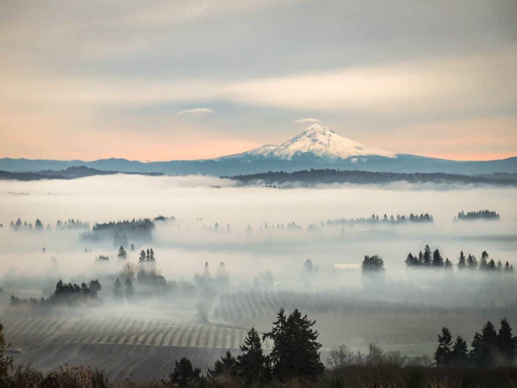 Mount Hood high above vineyards in the Willamette Valley of Oregon.