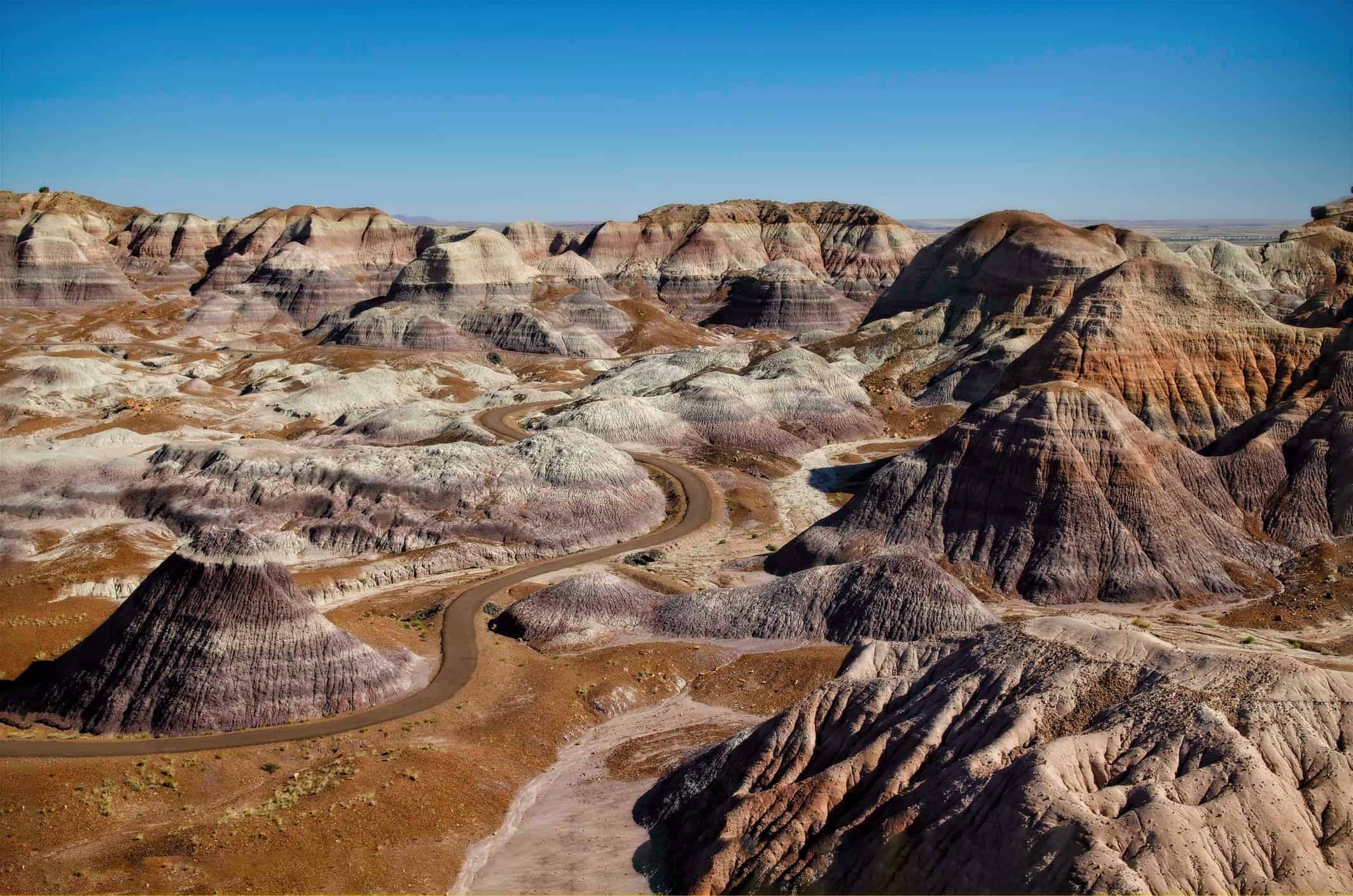 Head To Holbrook Arizona And The Amazing Petrified Forest National Park