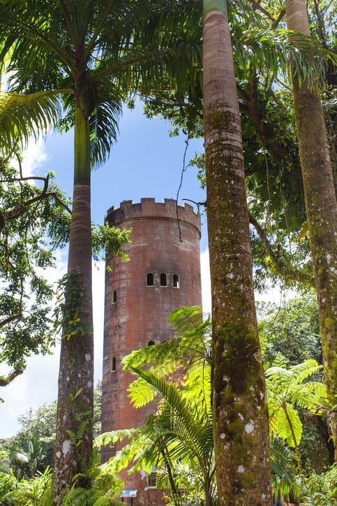 Yokahú Observation tower, El Yunque National  Forest. 