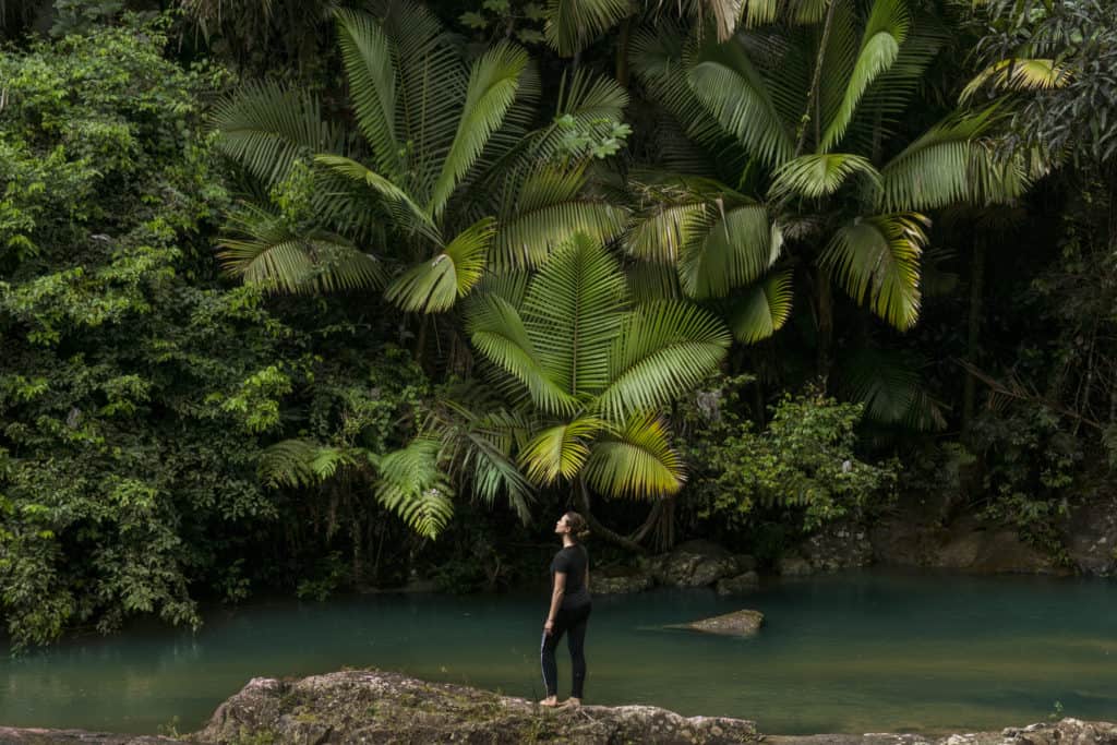 Puerto Rico, El Yunque National Forest.