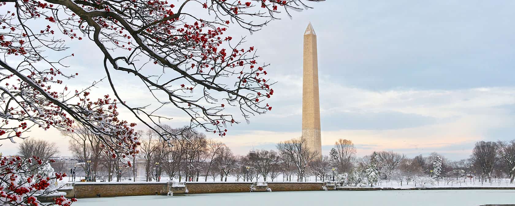 Celebrate Winter in Washington DC Places.Travel