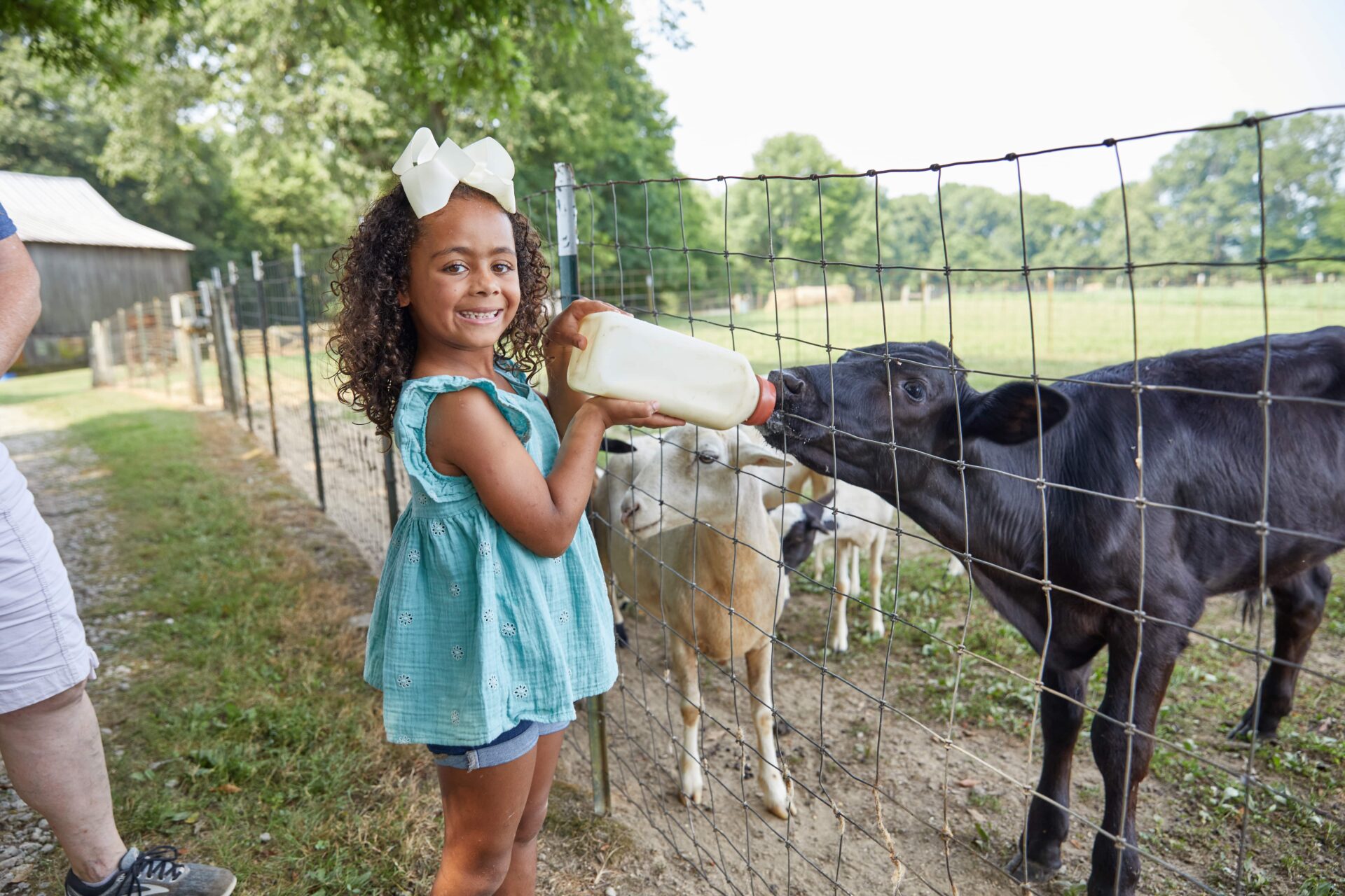 Bourbon, History and the Great Outdoors: 48 Hours in Hopkinsville