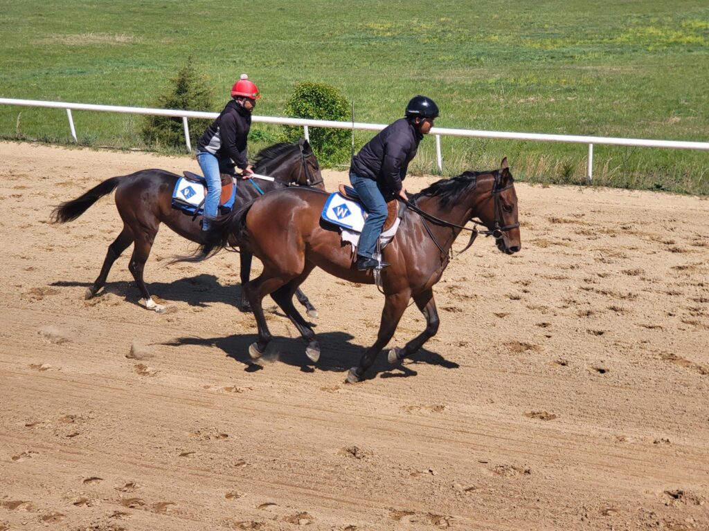 Two jockeys ride brown horses on a sandy racetrack. Both wear black clothing and helmets—one red, one black. The track is bordered by grass and a white rail, with green fields visible in the background.