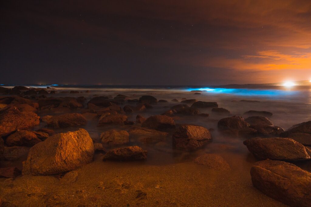 The blue glow of Puerto Rico's bioluminescent bay at sunset. 