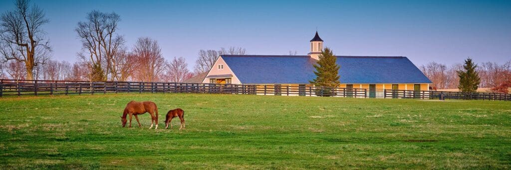 A scenic view of a grassy field with two brown horses grazing. In the background, there is a large barn with a cupola, surrounded by fences and a few bare trees. The sky is clear and blue.