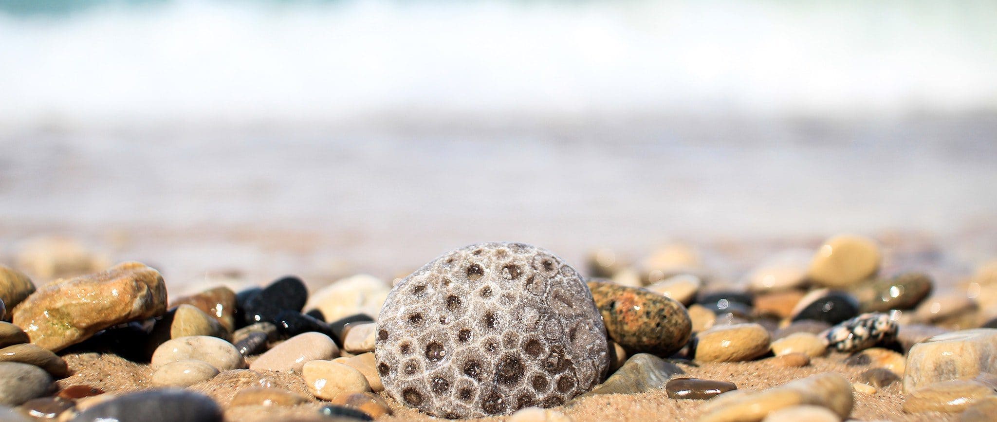 Close-up of a smooth, round rock with a honeycomb pattern, surrounded by various small, colorful pebbles on a sandy beach. The ocean is blurred in the background, creating a serene and natural coastal scene.