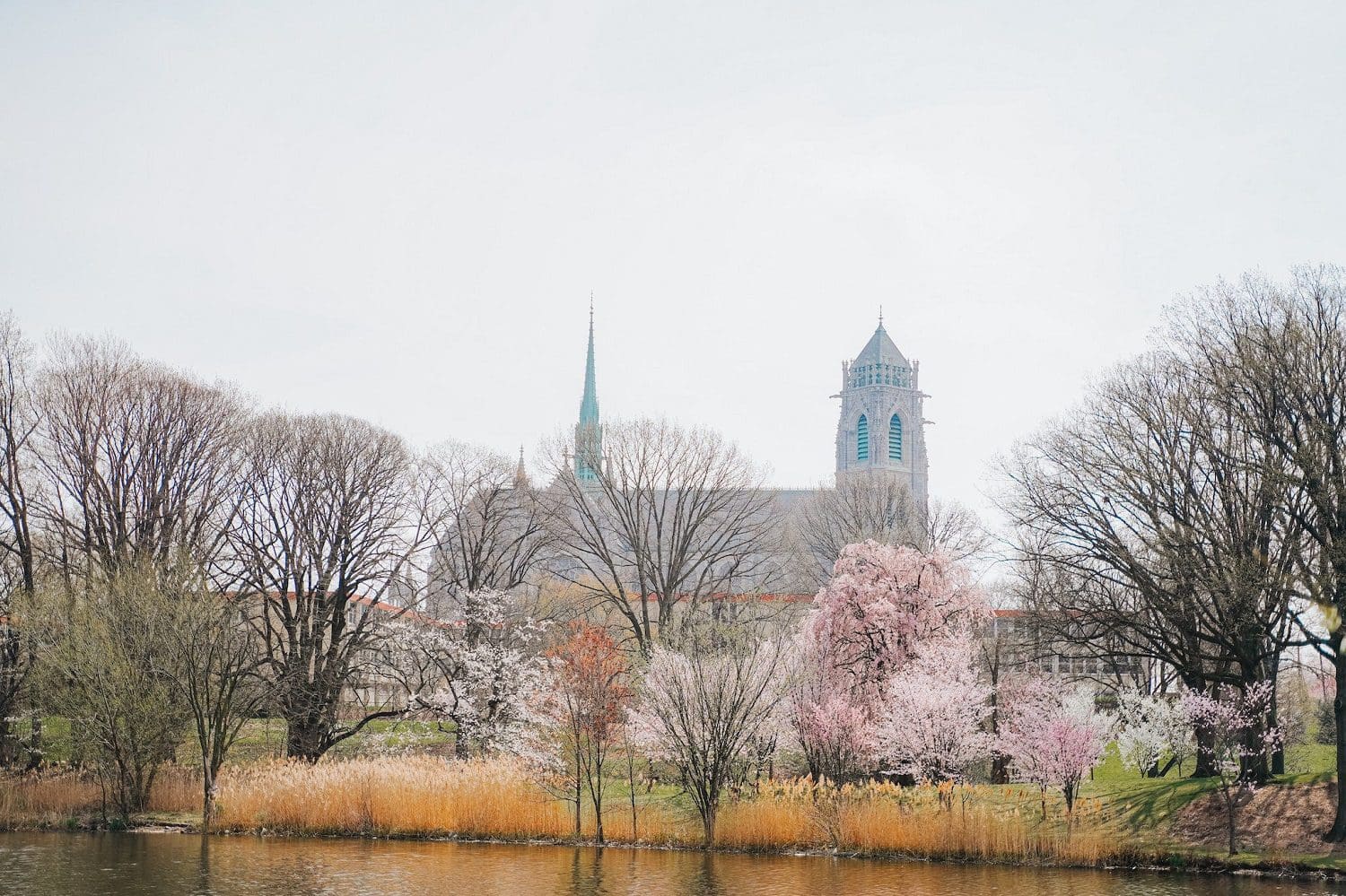 View of a church with a tall green spire and a clock tower, surrounded by leafless trees and blooming cherry blossoms near a calm body of water. The sky is overcast, creating a serene and peaceful atmosphere.