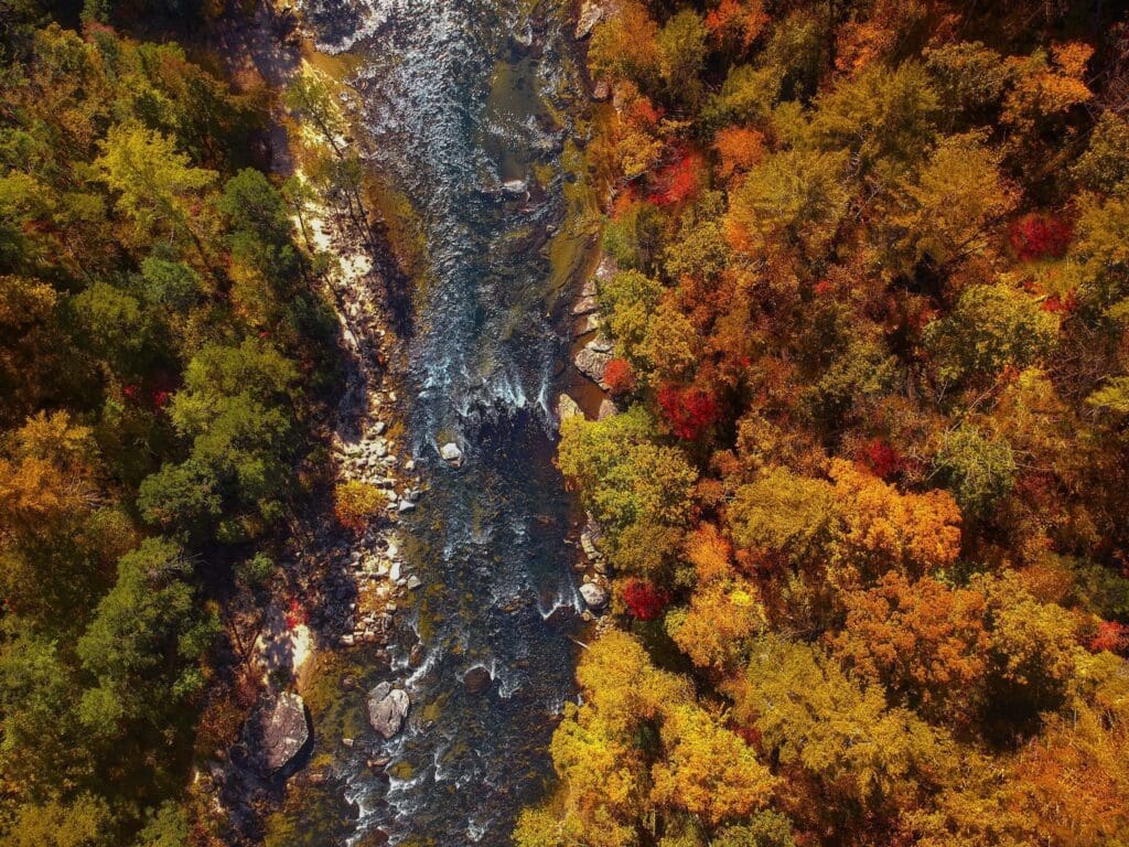 Aerial view of a flowing river surrounded by a dense forest in autumn. The trees display a vibrant mix of red, orange, yellow, and green foliage, creating a colorful landscape. Rocks are visible in the river, contrasting with the rich autumn colors.
