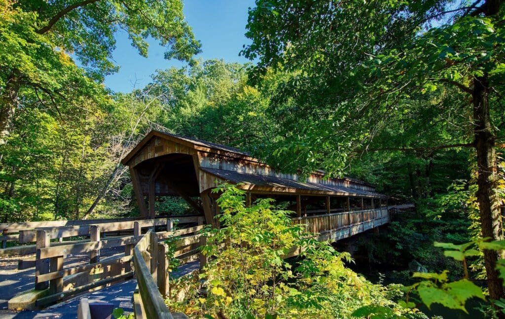 A wooden covered bridge surrounded by lush, green trees on a sunny day. Sunlight filters through the canopy, casting dappled shadows on the bridge and the path. The scene conveys a peaceful, natural setting.