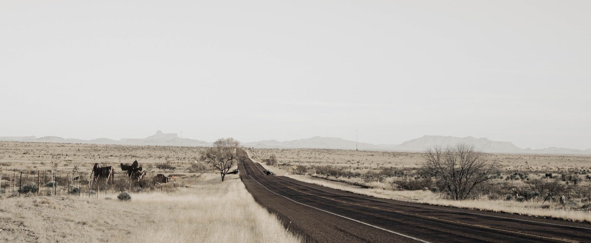 A long, empty road stretches into a flat, arid landscape with sparse grasses and distant mountains under an overcast sky. On the left, a few scattered trees and bushes are seen along the road.