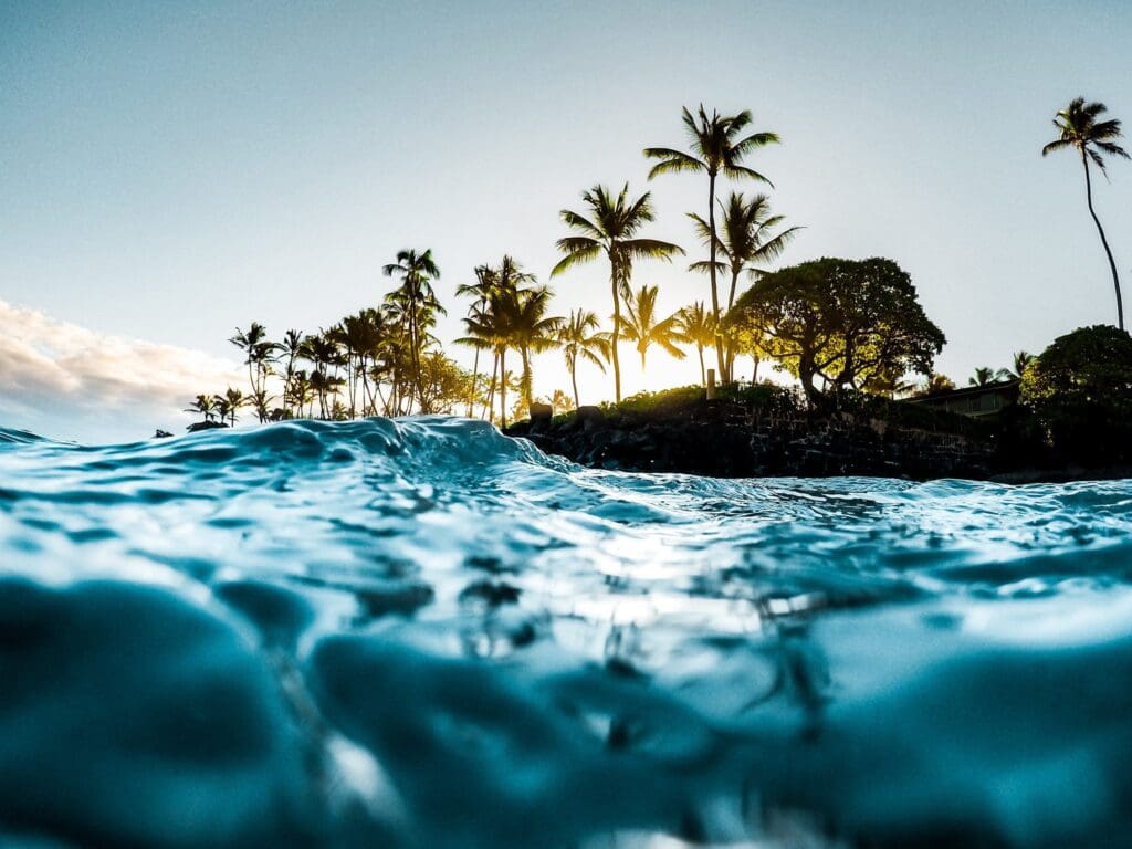 A serene view of ocean waves at sunset with silhouetted palm trees and a clear sky in the background. The suns rays peek through the trees, casting a warm glow on the waters surface.
