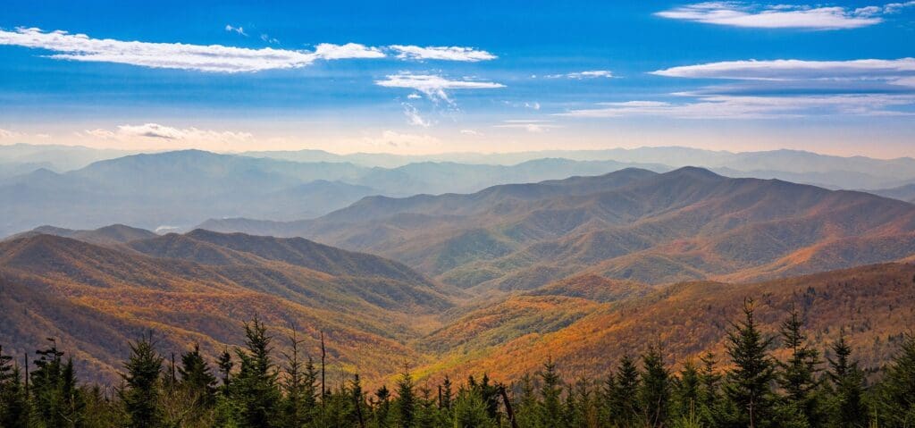 Scenic view of a mountain range with rolling peaks covered in autumn foliage, transitioning from green to orange. A clear blue sky with scattered clouds stretches above the landscape. Foreground features a line of evergreen trees.