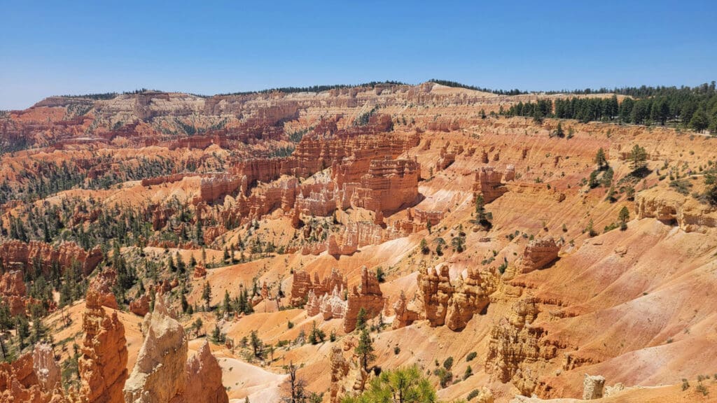 A scenic view of Bryce Canyon National Park showcasing its iconic orange and red rock formations, hoodoos, and cliffs under a clear blue sky. Sparse green vegetation grows among the rocks, adding contrast to the landscape.