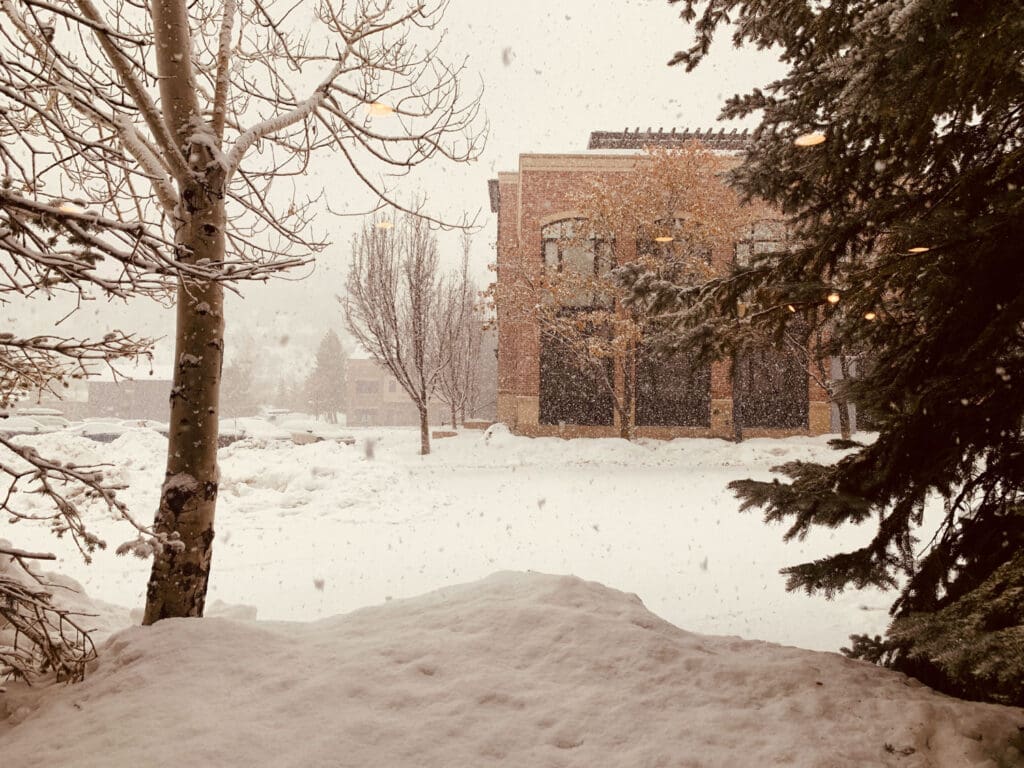 Snow-covered landscape with a brick building in the background. Snow-laden trees frame the scene, and thick snow blankets the ground. Snowflakes fall steadily, creating a wintry atmosphere. Overcast sky adds to the chilly ambiance.