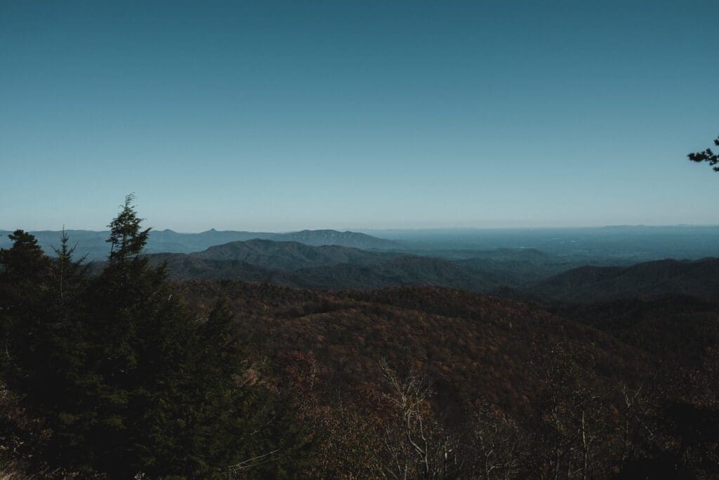 Expansive view of forested mountains under a clear blue sky. The rolling hills stretch into the distance, fading into a hazy horizon. A few trees frame the foreground, adding depth to the serene landscape.
