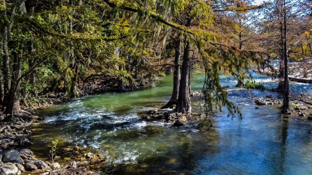 A sparkling, clear river curves through a lush forest with tall trees. Sunlight filters through the branches, casting dappled shadows on the water. The scene is serene and vibrant, showcasing natures beauty.