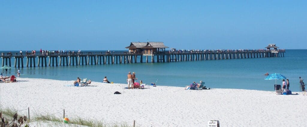 A sunny beach scene with people relaxing on the sand under umbrellas near the shore. In the background, a long wooden pier extends into the calm blue ocean, with people walking along it. Green beach plants border the foreground.