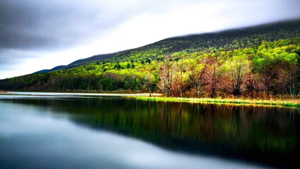 A serene lake reflects a lush, green forest and hill under a cloudy sky. The landscape features a mix of vibrant spring foliage and bare trees, with a smooth water surface creating a mirror-like effect.