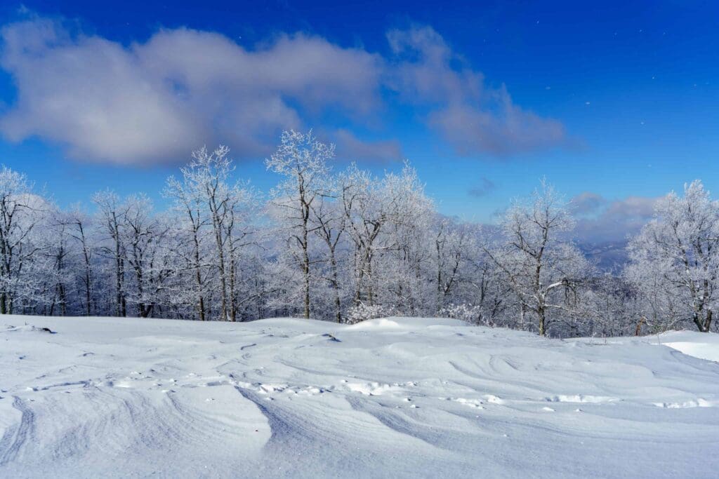 Snow-covered field with swirling patterns in the foreground, bordered by a line of leafless trees covered in frost. The sky is bright blue with scattered fluffy clouds, creating a clear winter scene.