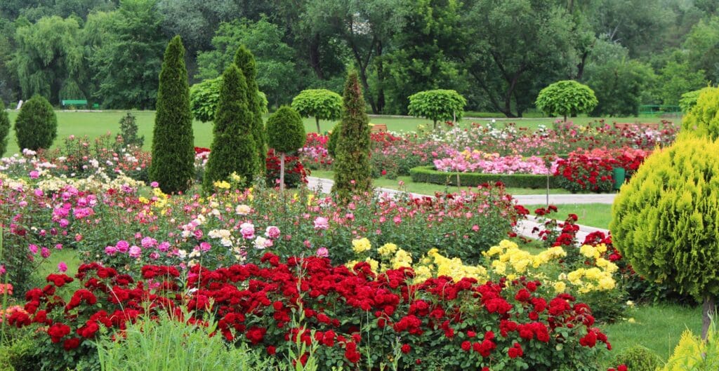 A vibrant garden filled with colorful flowers, including red, yellow, and pink blooms. Neatly trimmed hedges and tall, conical shrubs dot the landscape. Lush green trees are visible in the background under a clear sky.