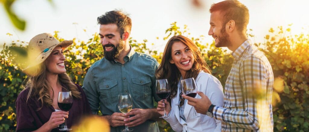 Four people, two men and two women, enjoying glasses of wine outdoors in a vineyard. They are smiling and engaging in conversation, surrounded by lush grapevines under a sunny sky. The atmosphere is relaxed and cheerful.