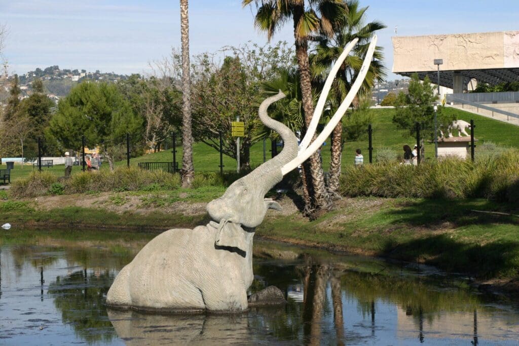 Statue of a woolly mammoth partially submerged in a pond at a park, with palm trees and a building in the background. The mammoth appears to be struggling to escape the water.