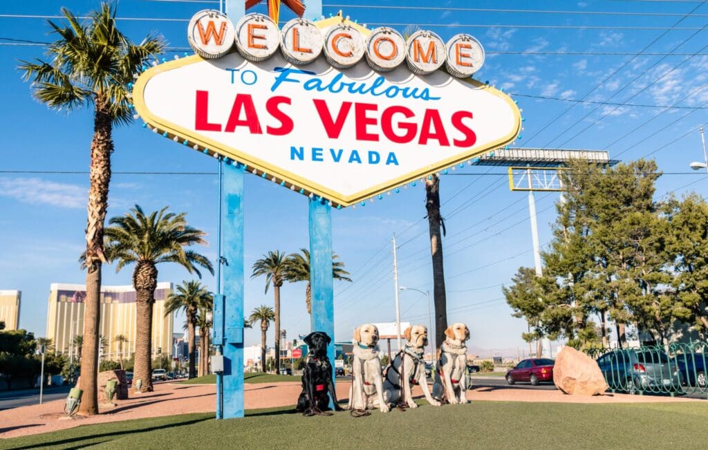 Welcome to Las Vegas sign with palm trees in the background. Four dog mascots in costumes are sitting in front of the sign on a grassy area. The sky is clear and blue.