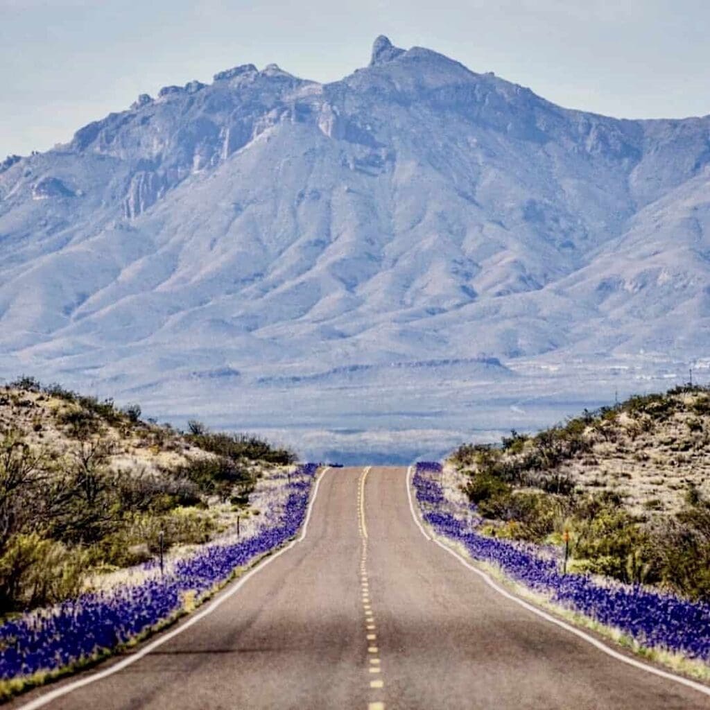 Big Bend National Park