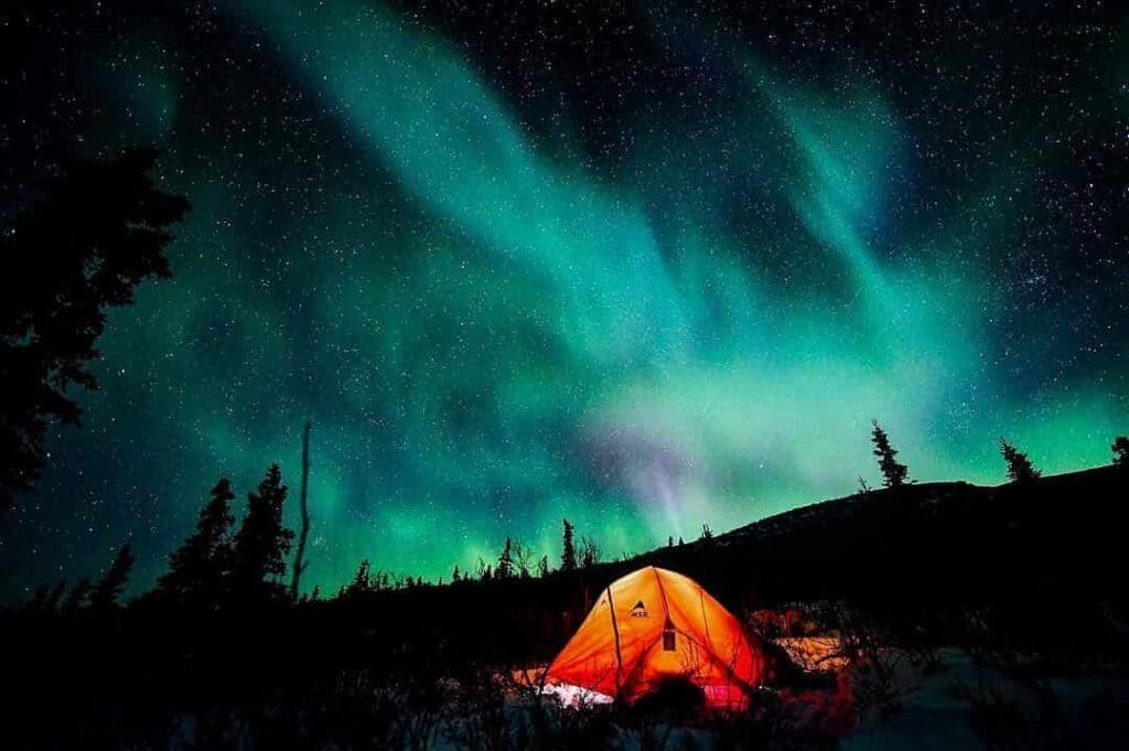 Denali National Park