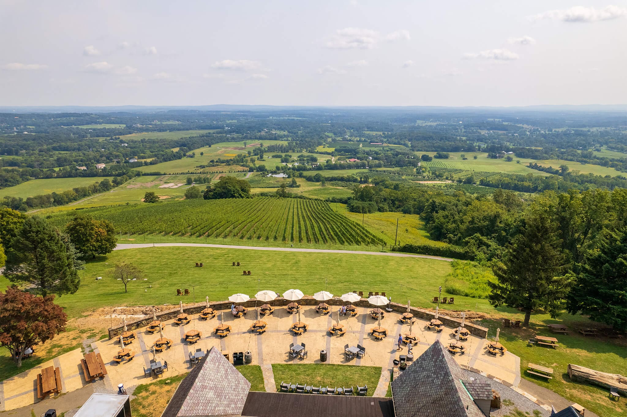 Aerial view of a verdant landscape with rows of vineyards stretching into the distance. In the foreground, a patio with tables and umbrellas is set up for dining. Rolling hills extend to the horizon under a partly cloudy sky.