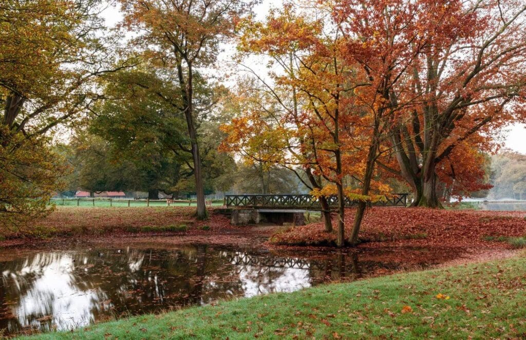 A small wooden bridge crosses a calm pond surrounded by autumn trees with vibrant orange and red leaves. Fallen leaves cover the ground and the waters edge. The background has a grassy field and more trees under a cloudy sky.