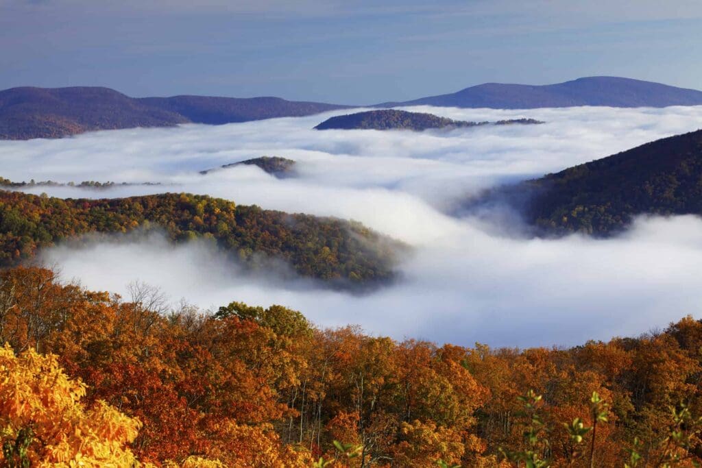 Shenandoah National Park.