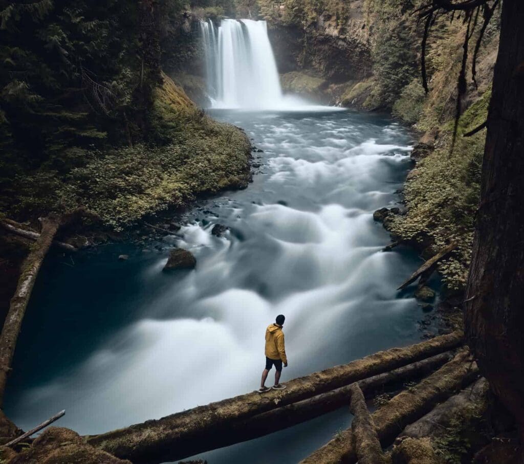 Person in a yellow jacket standing on a log over a rushing river with a large waterfall in the background, surrounded by dense green forest.