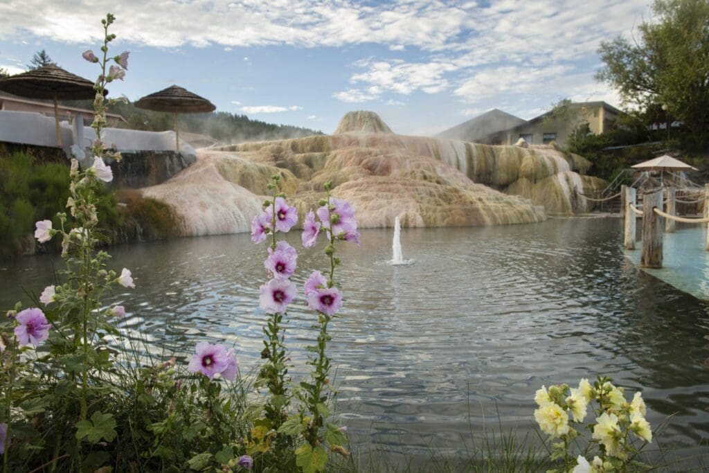 Pink and purple flowers in the foreground with a natural hot spring and mineral formations in the background. A fountain sprays water in the center of the pond under a partly cloudy sky. Umbrellas and trees are visible around the edges.