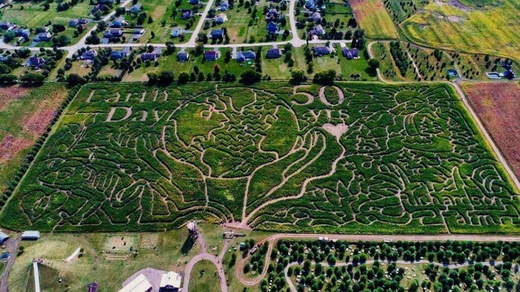 Richardson Corn Maze.