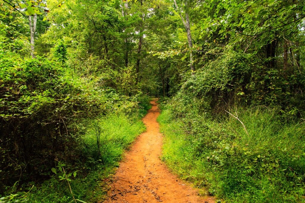 A narrow, winding dirt path cuts through a lush, green forest. Trees with dense foliage line the trail, creating a serene, natural tunnel. Sunlight filters through the leaves, casting dappled shadows on the path.