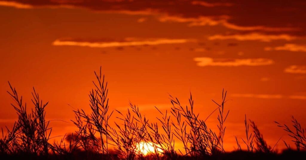 Quivira National Wildlife Refuge in Kansas.