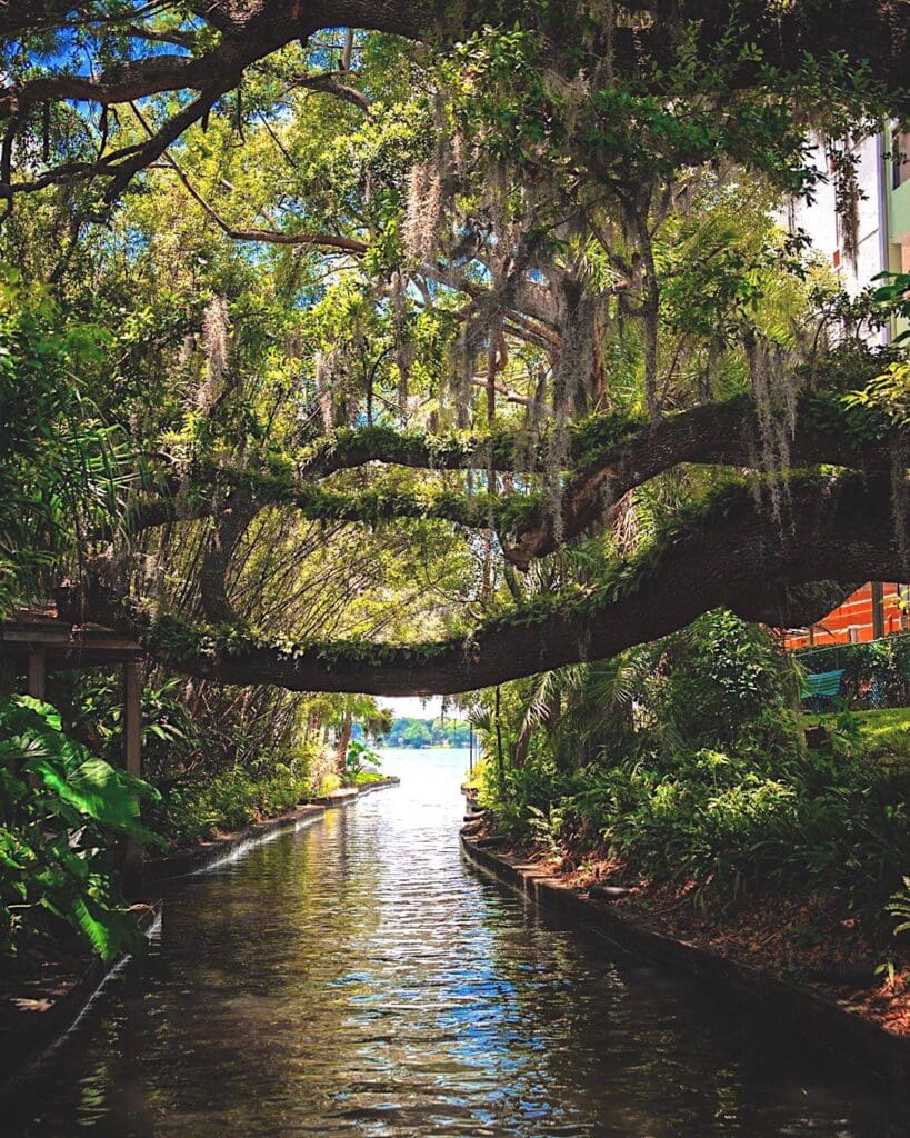 Winter Park Scenic Boat Tour.