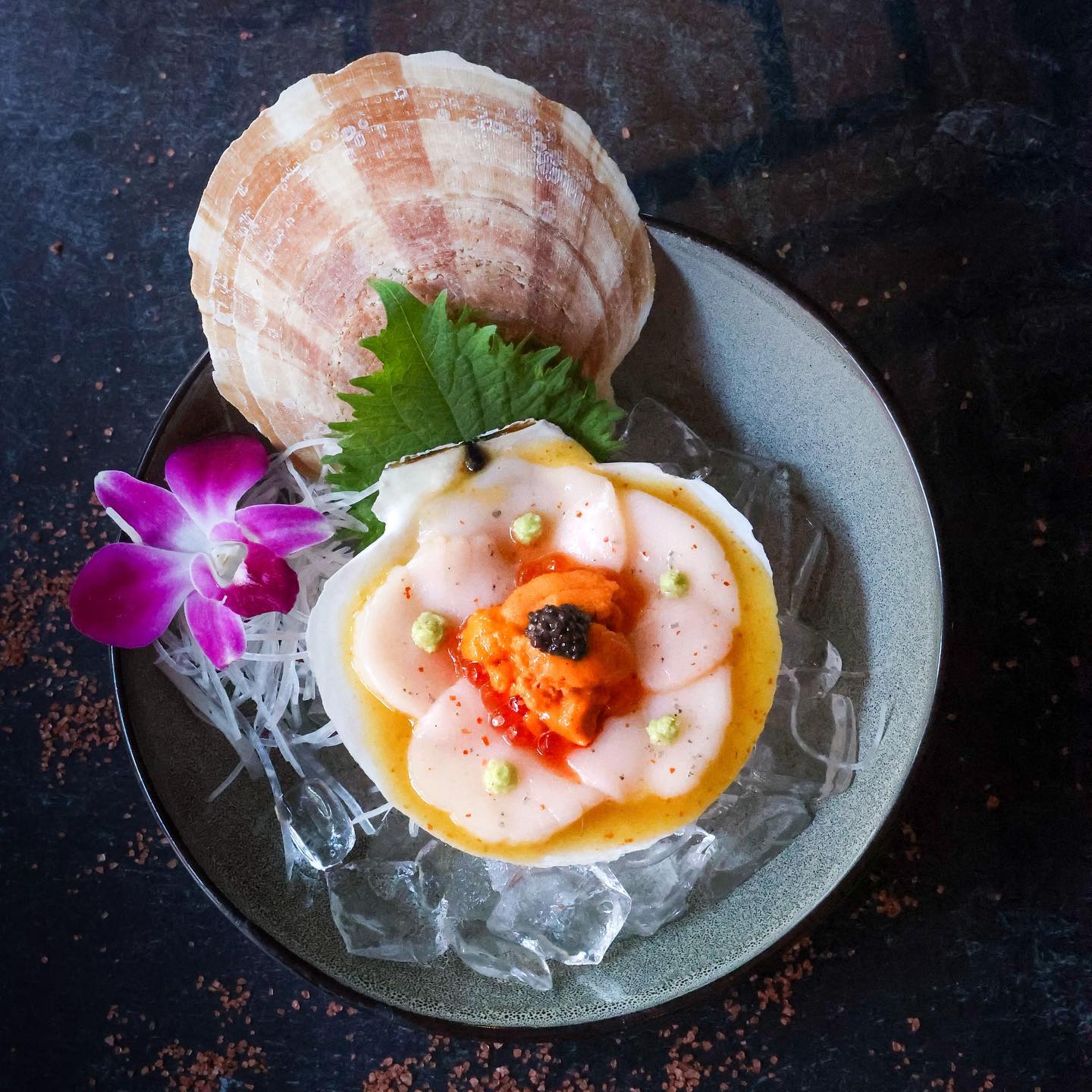 A beautifully plated dish featuring scallops arranged in a circular pattern on ice, topped with sea urchin and a small amount of caviar. Accompanied by a decorative seashell, a green leaf, and a purple orchid on the side.