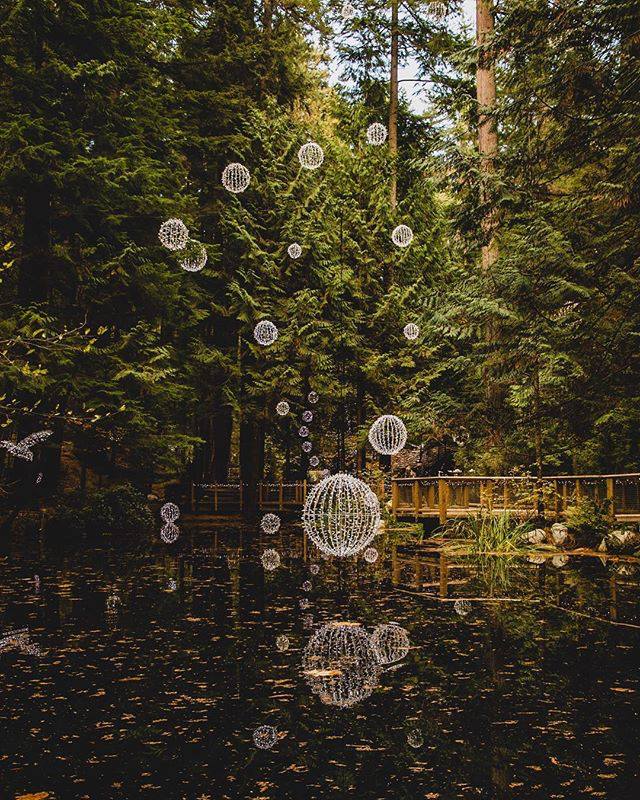 Capilano by @hjk_photography|capilano