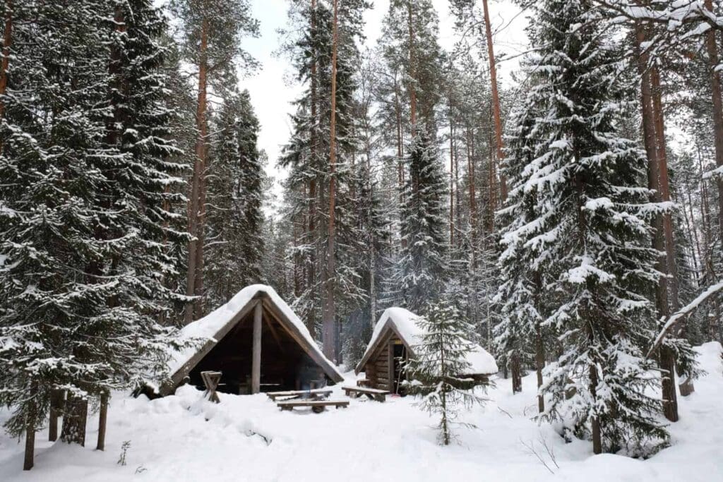 Snow-covered log cabins nestled in a dense forest of tall pine trees, with a picnic table in front. The scene is serene, capturing a winter wonderland atmosphere.