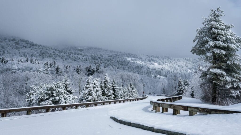 A scenic winter landscape featuring a winding road bordered by snow-covered guardrails. Snow-laden evergreen trees line the road, with foggy mountains in the background under a cloudy sky.